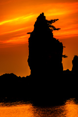 岩礁と松　朝景