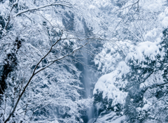 猿尾滝（２０１４）