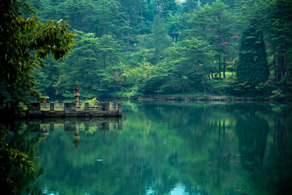 暑中お見舞申し上げます１