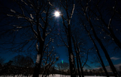 厳冬期の月光の世の妖艶