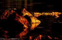 The stone which burns