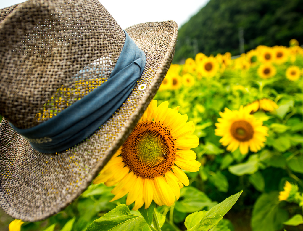 ジュリー　（お遊びフォト）