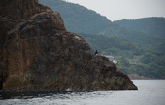 何か釣れるのでしょうか？