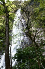 天滝溪谷　天滝