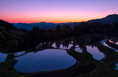 黎明　　（昨日のリベンジ　棚田）