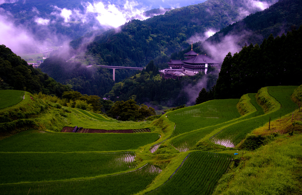 西岡の棚田