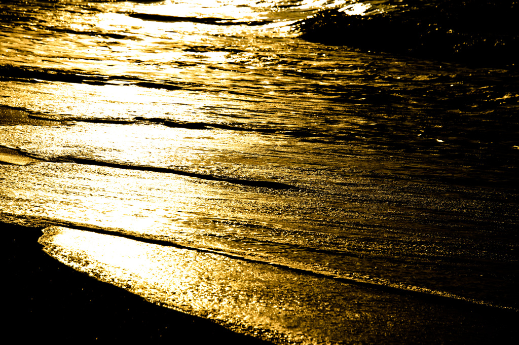 寄せる波に思いをはせ