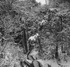 雪見の滝