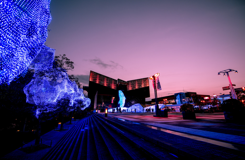 海遊館　ライトアップ