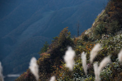 大幹線林道　２