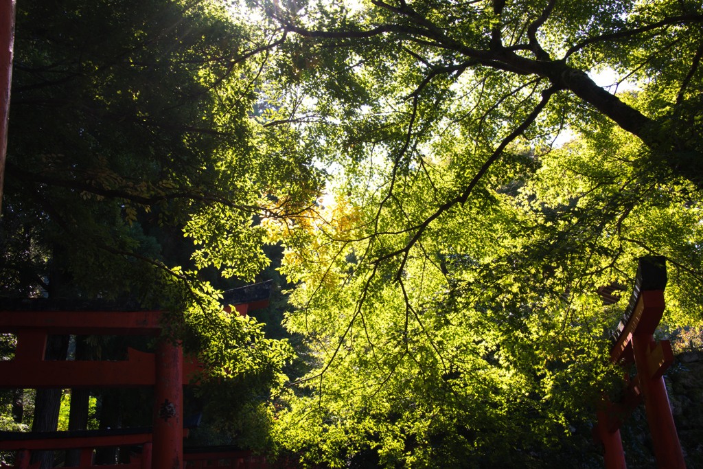 出石城５