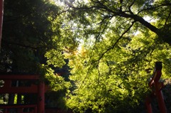 出石城５