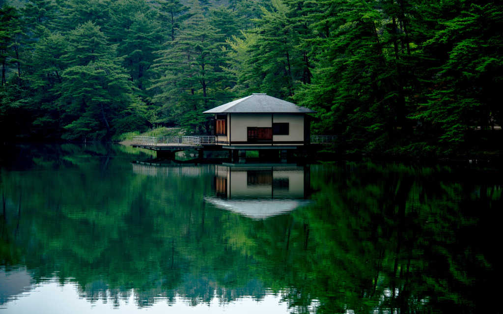 暑中お見舞申し上げます