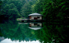 暑中お見舞申し上げます