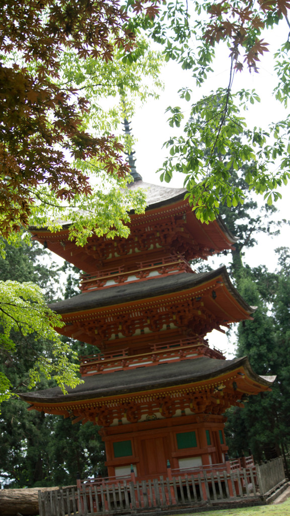 三重の塔