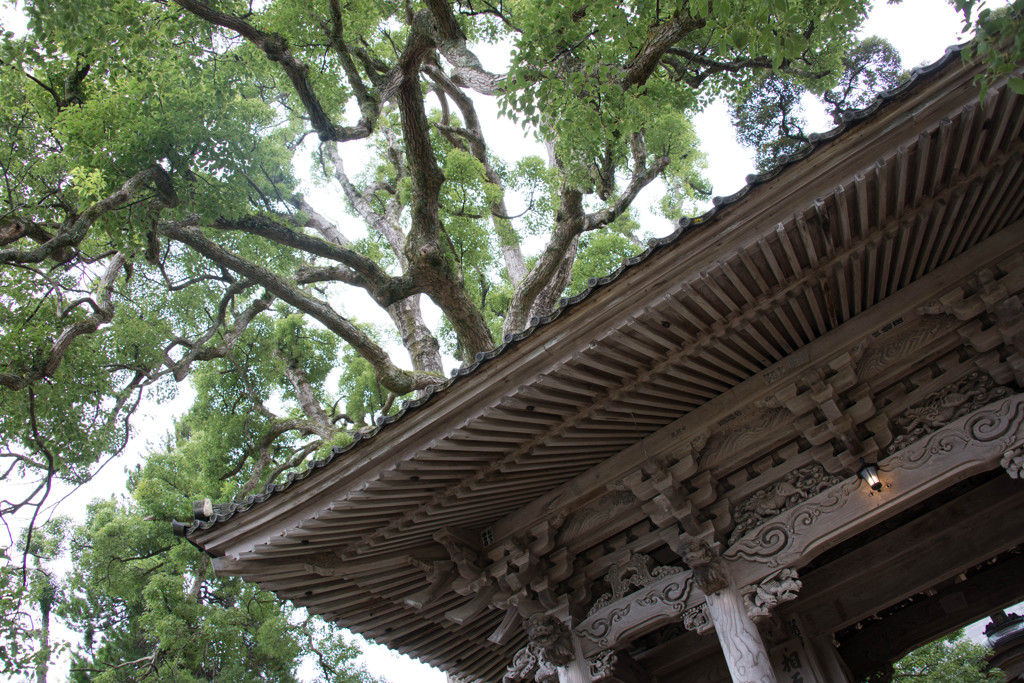 大乗寺