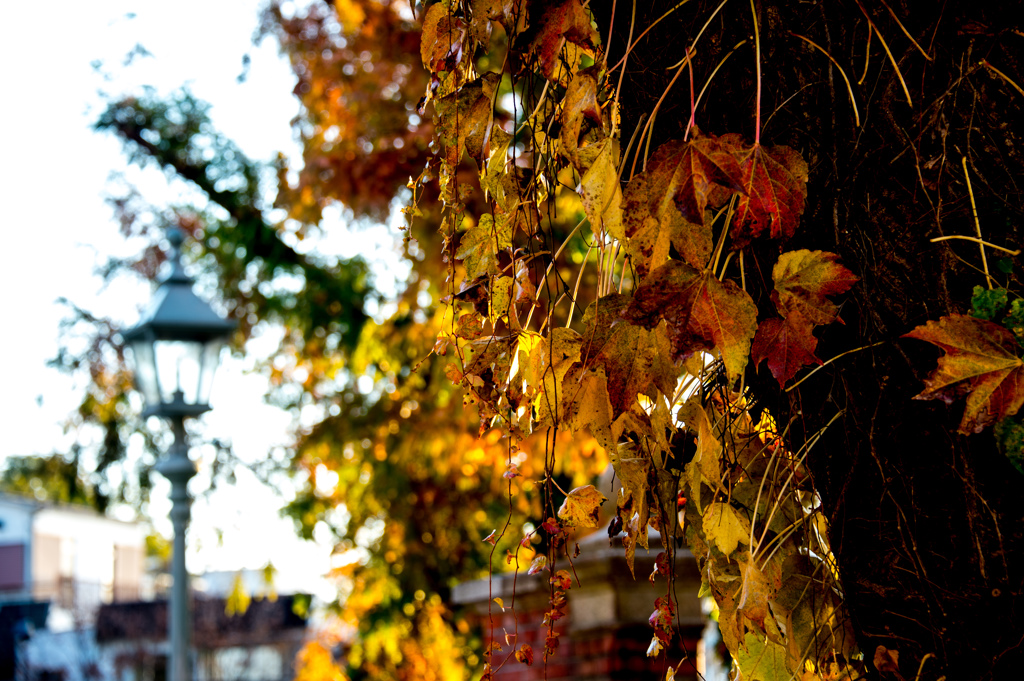 北野異人館通り　１