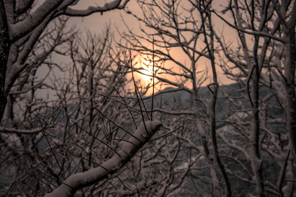 春遠くに有り思ふモノ