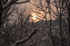 春遠くに有り思ふモノ