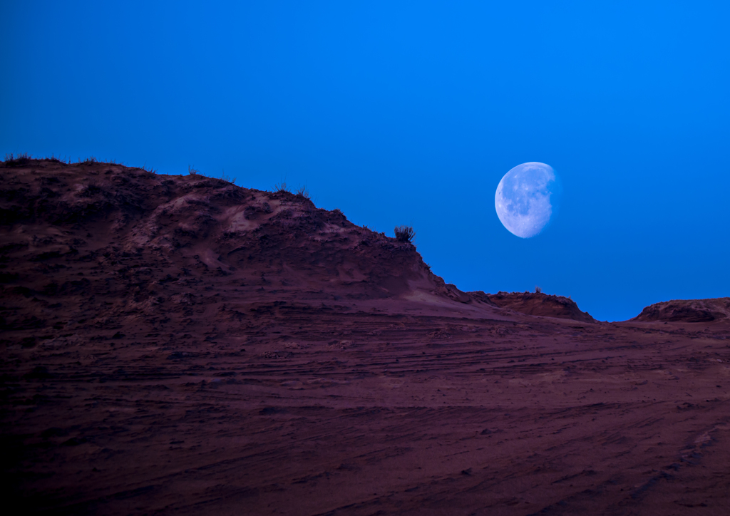 大地からの警鐘