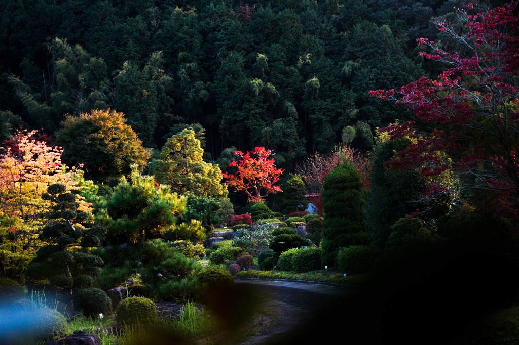 庭園２