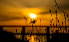 私髪乱れてますか？