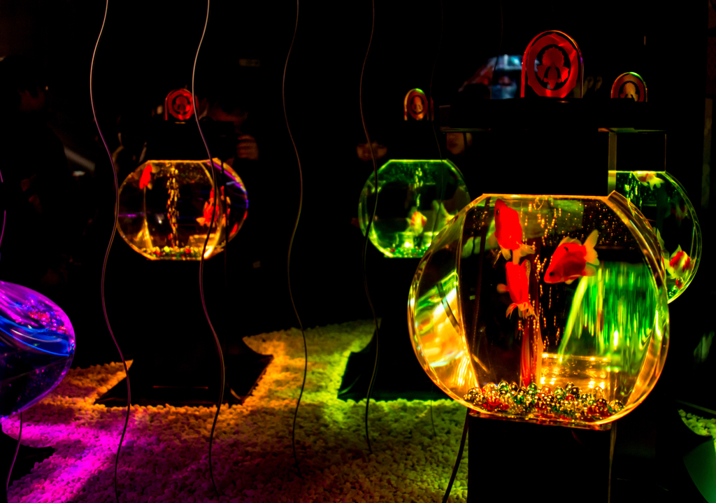 アートアクアリューム　２０１４大阪