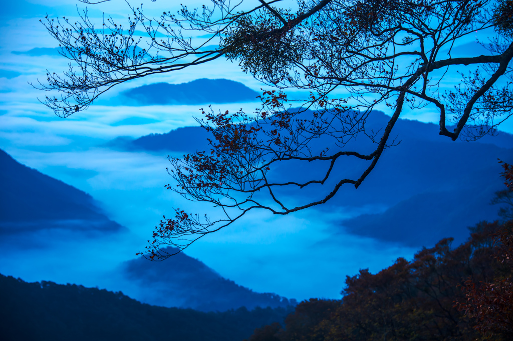 雲海を撮る　夜明け