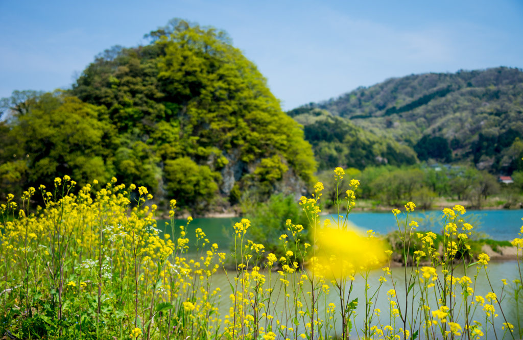 はーるの　小川は？　中川？　大川？～♫　♪