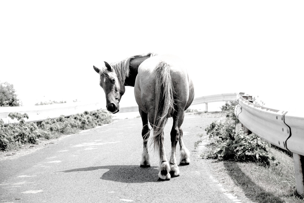 振り返り美人？