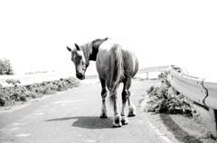 振り返り美人？