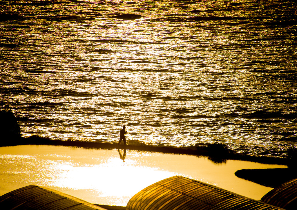 海と水田と夕日