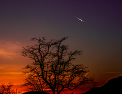 faraway 