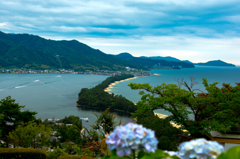 アジサイと日本三景