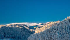 白い恋人シリーズ