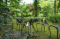 昼下がり森の、憩い