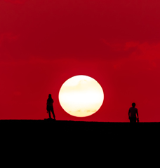 Encounter（出会い）