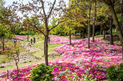 華　爛漫