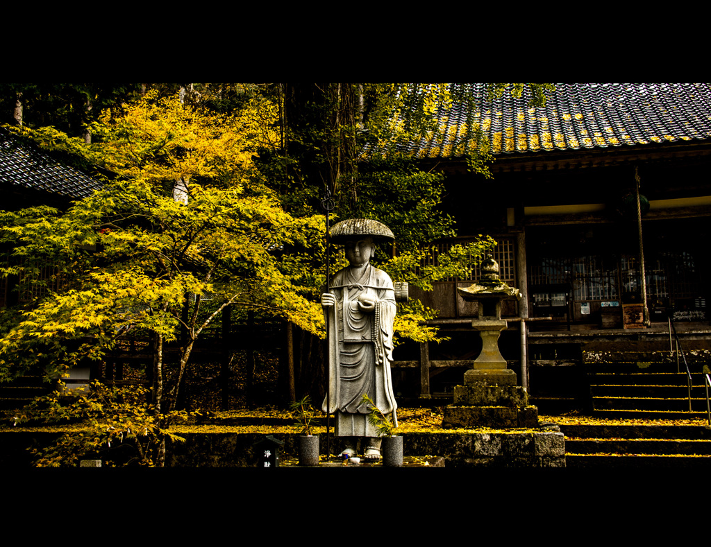 修行中でござる