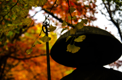 丹波散策でござる。