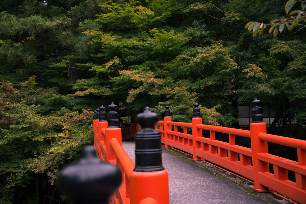 神社の、紅葉前