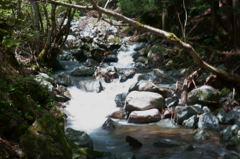 天滝溪谷　天滝