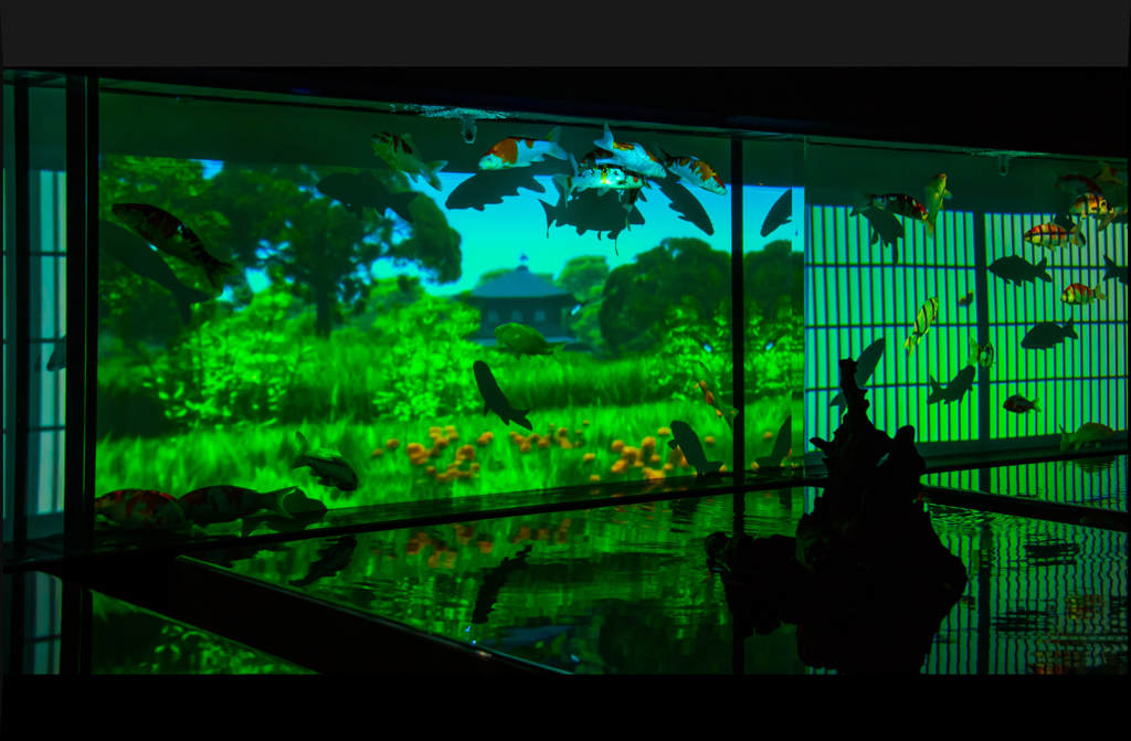 アートアクアリューム　２０１４大阪