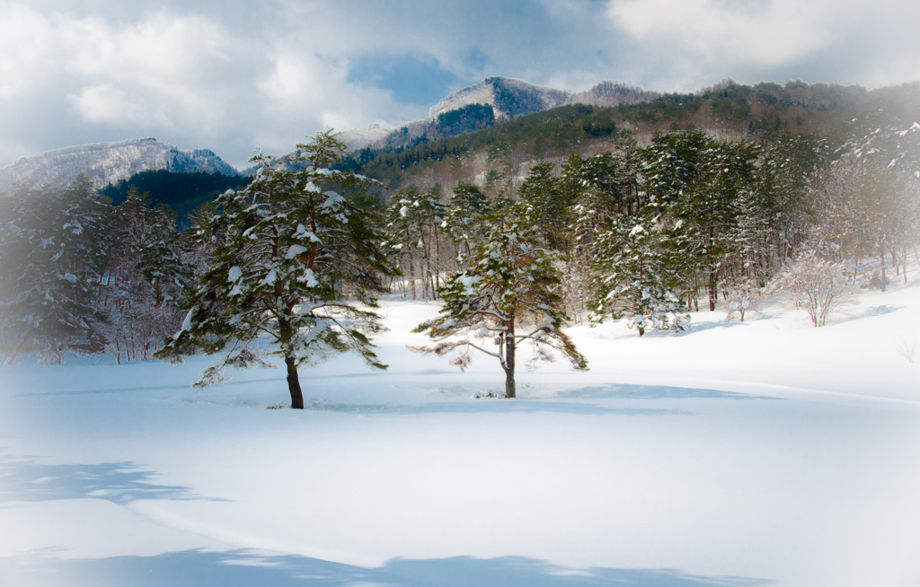 高原の雪景