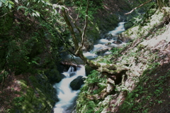 天滝溪谷　天滝