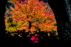 ロケハン　明日行ってきます