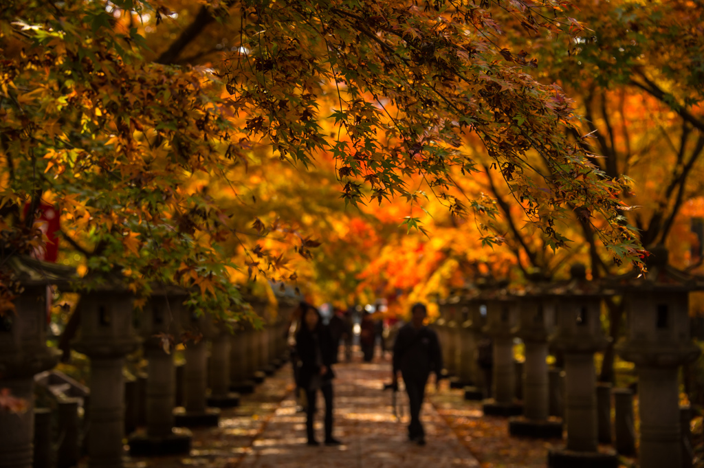季節と歩く　おふたりさん 