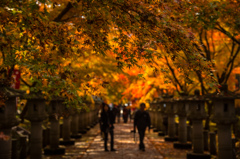 季節と歩く　おふたりさん 
