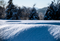 白い恋人シリーズ