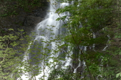 天滝溪谷　天滝
